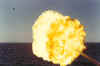 gunshot1.jpg (41531 bytes)
