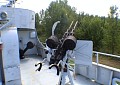 92026_6010.jpg