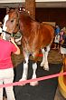 img_3127.jpg