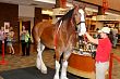 img_3128.jpg