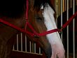 Reunion_2014-038.jpg