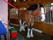 Reunion_2014-039.jpg